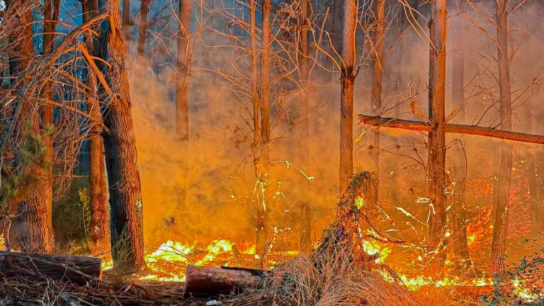 Incendio