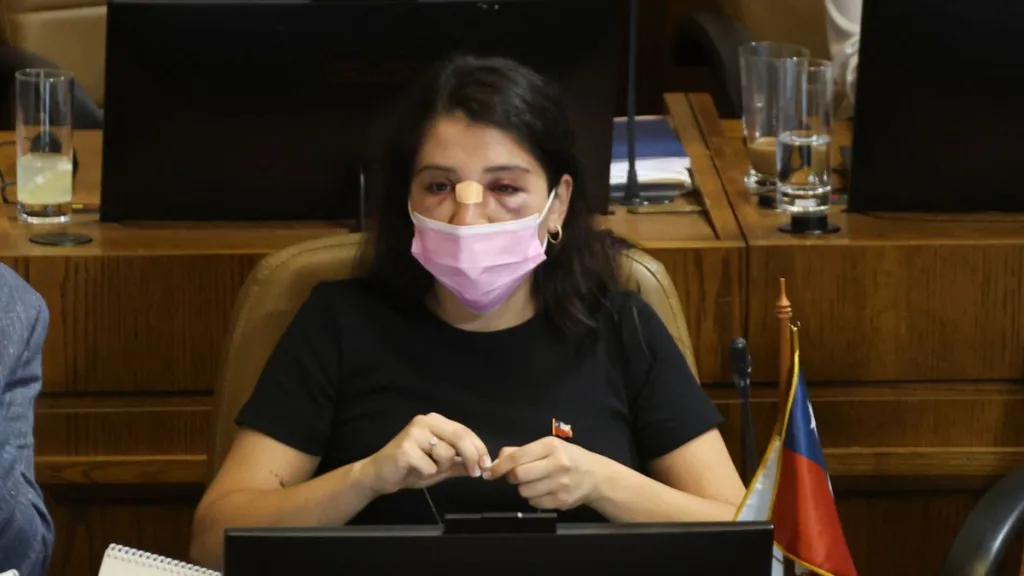 Diputada Consuelo Veloso