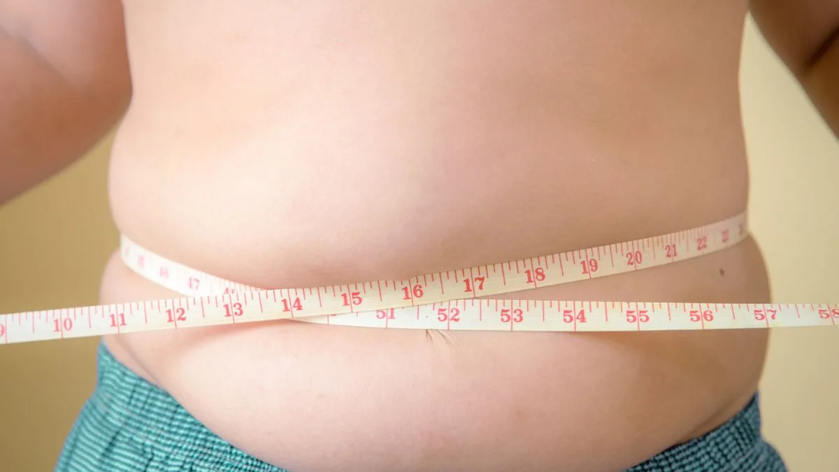 Obesidad y sus efectos en la salud de niños: ¿Cuáles son los principales factores detrás del sedentarismo en Chile?