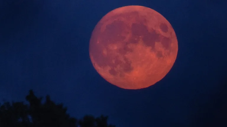 Luna De Sangre