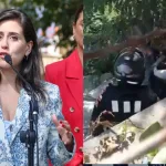 Macarena Ripamonti