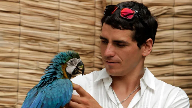 Pangal Andrade