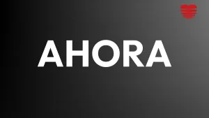 Web Pudahuel