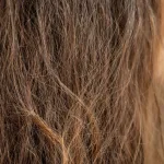 Frizz