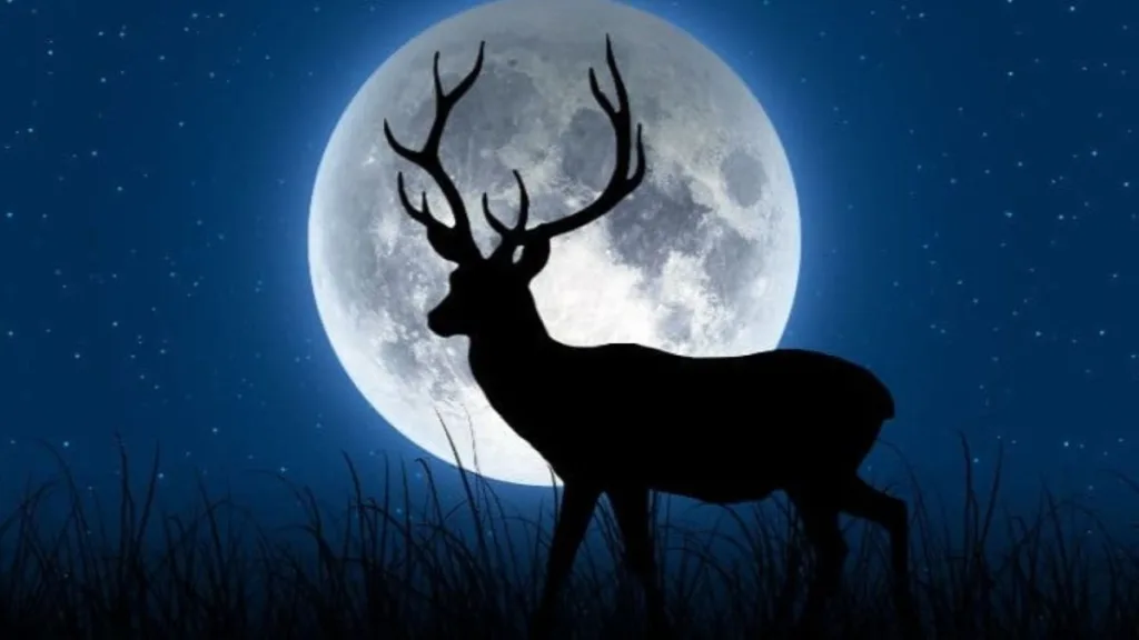 Luna de ciervo