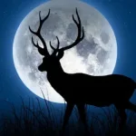 Eventos astronómicos