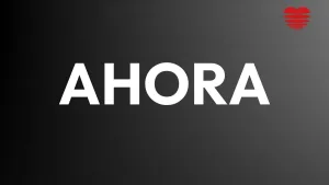 Web Pudahuel (3)