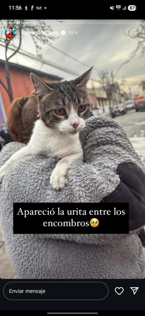 Urita, la gata mascota de Valentina Toro