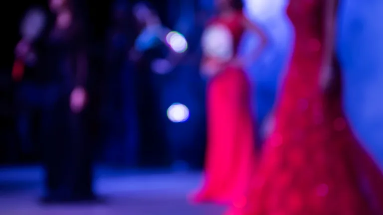 Miss Universo (1)