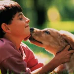 Parásitos en perros