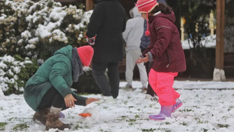 Nieve en Santiago
