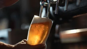 Cerveza