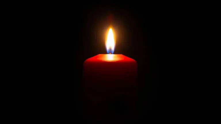 Muere actor