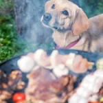 Fiestas Patrias mascota