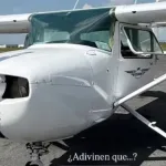 Presentadora muere