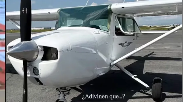 Presentadora muere