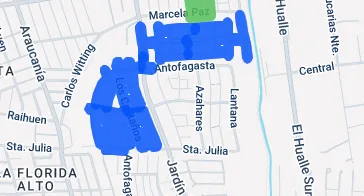 Antogafasta_marcela