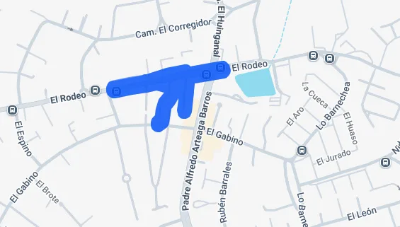 El_rodeo