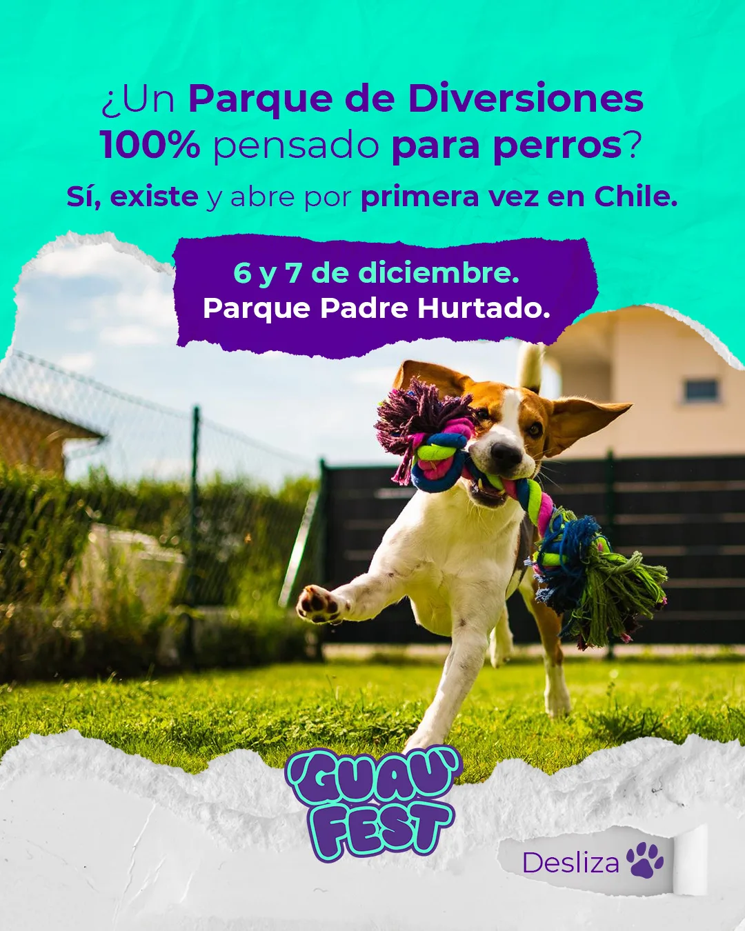 3 100% Pensado Para Perros