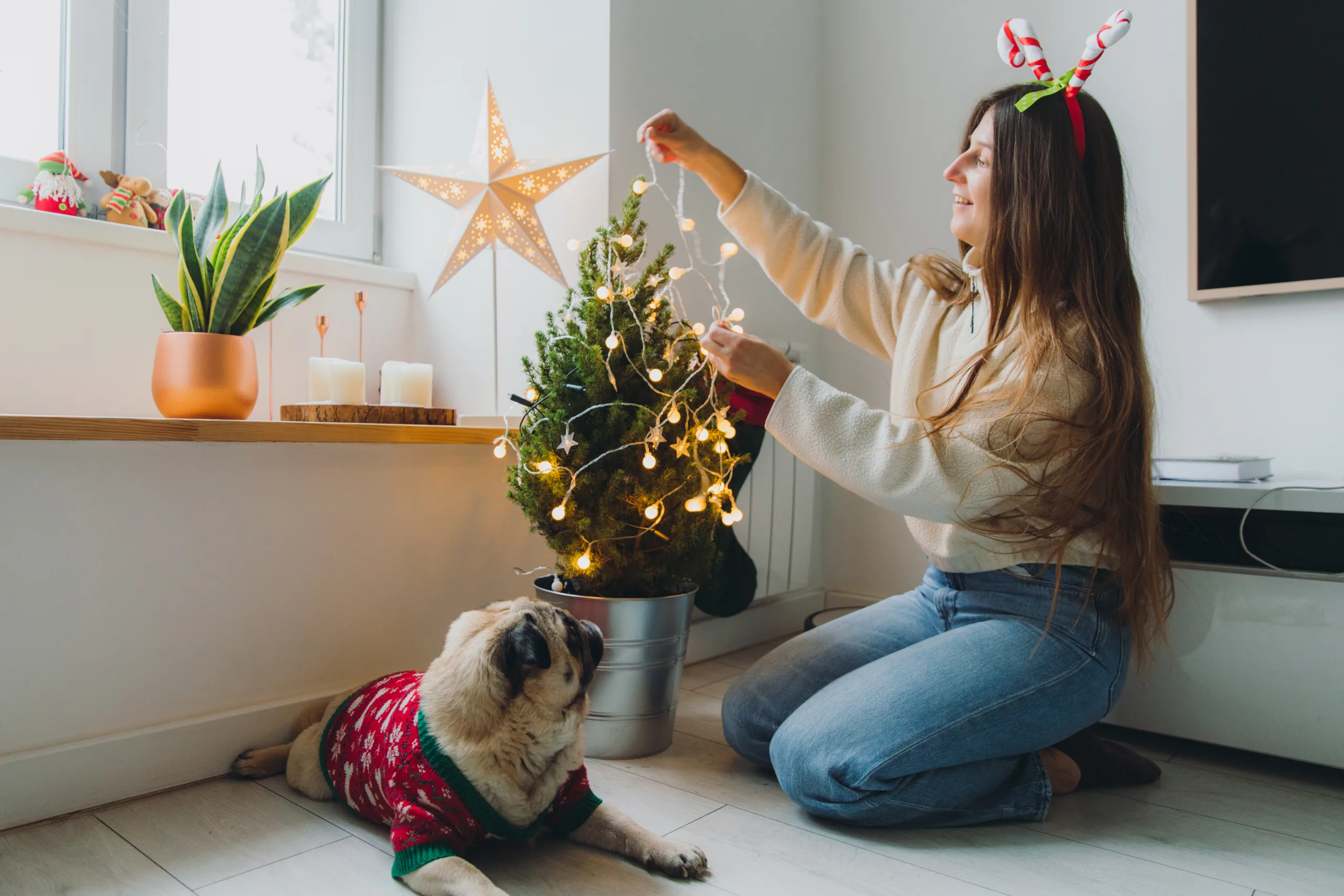 Young Woman And A Dog Enjoying Christmas Time At Home Decorating The Sustainable Tree By Lights
