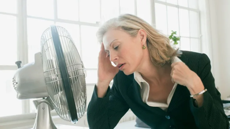 Menopausia en Chile