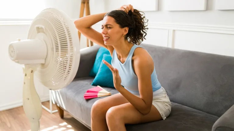 Alerta Por Calor Excesivo ¿Qué Hacer Ante Un Golpe De Calor Y Cómo Prevenirlo (2)