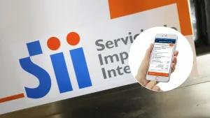 Atención, Trabajadores Independientes Desde El 1 De Enero Sube La Retención De Boletas De Honorarios