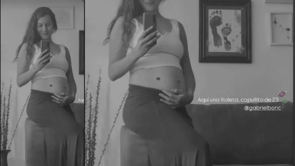 Paula Carrasco, pareja del presidente Gabriel Boric, embarazada