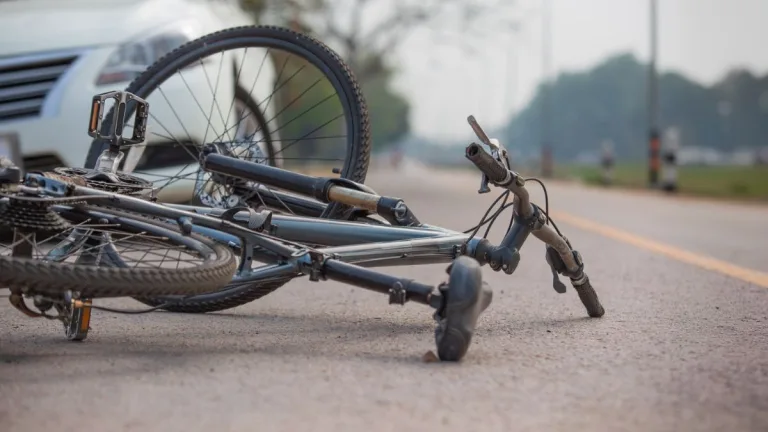 Cantante chileno atropello