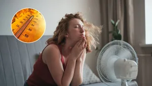 Alerta roja por calor severo en la Región Metropolitana de Santiago