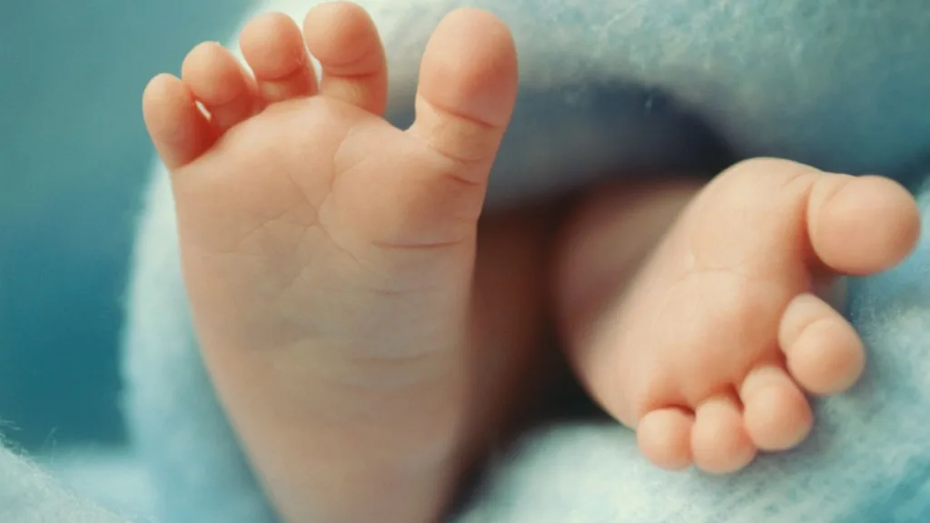 Embarazos de famosos