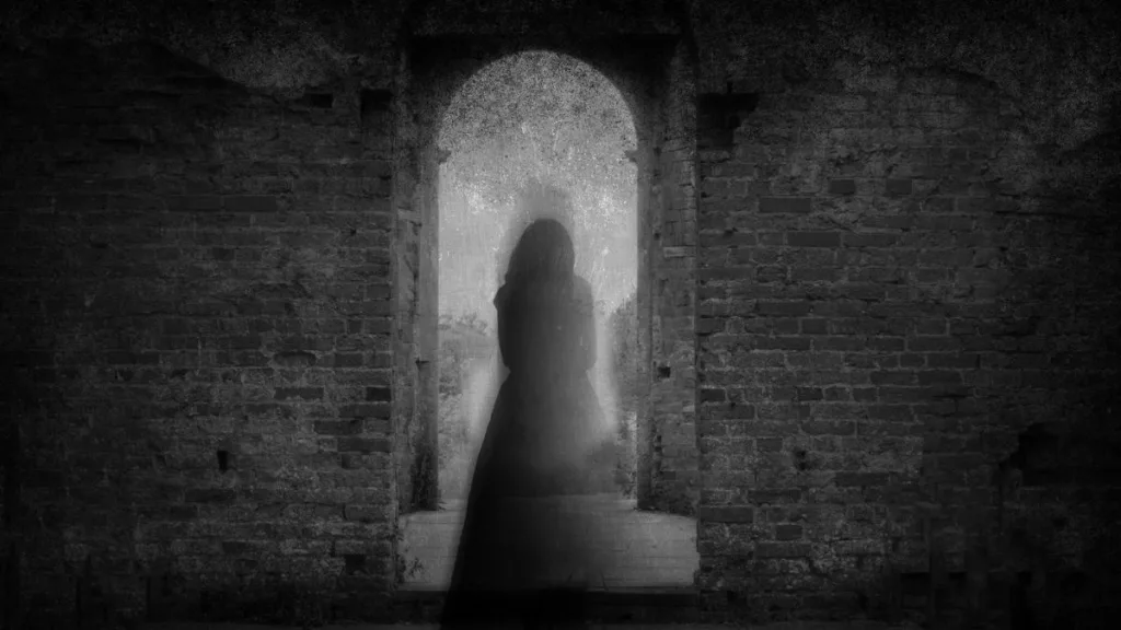 Reality El Internado de Mega