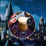 Cafetería temática de Harry Potter en Providencia cierra sus puertas