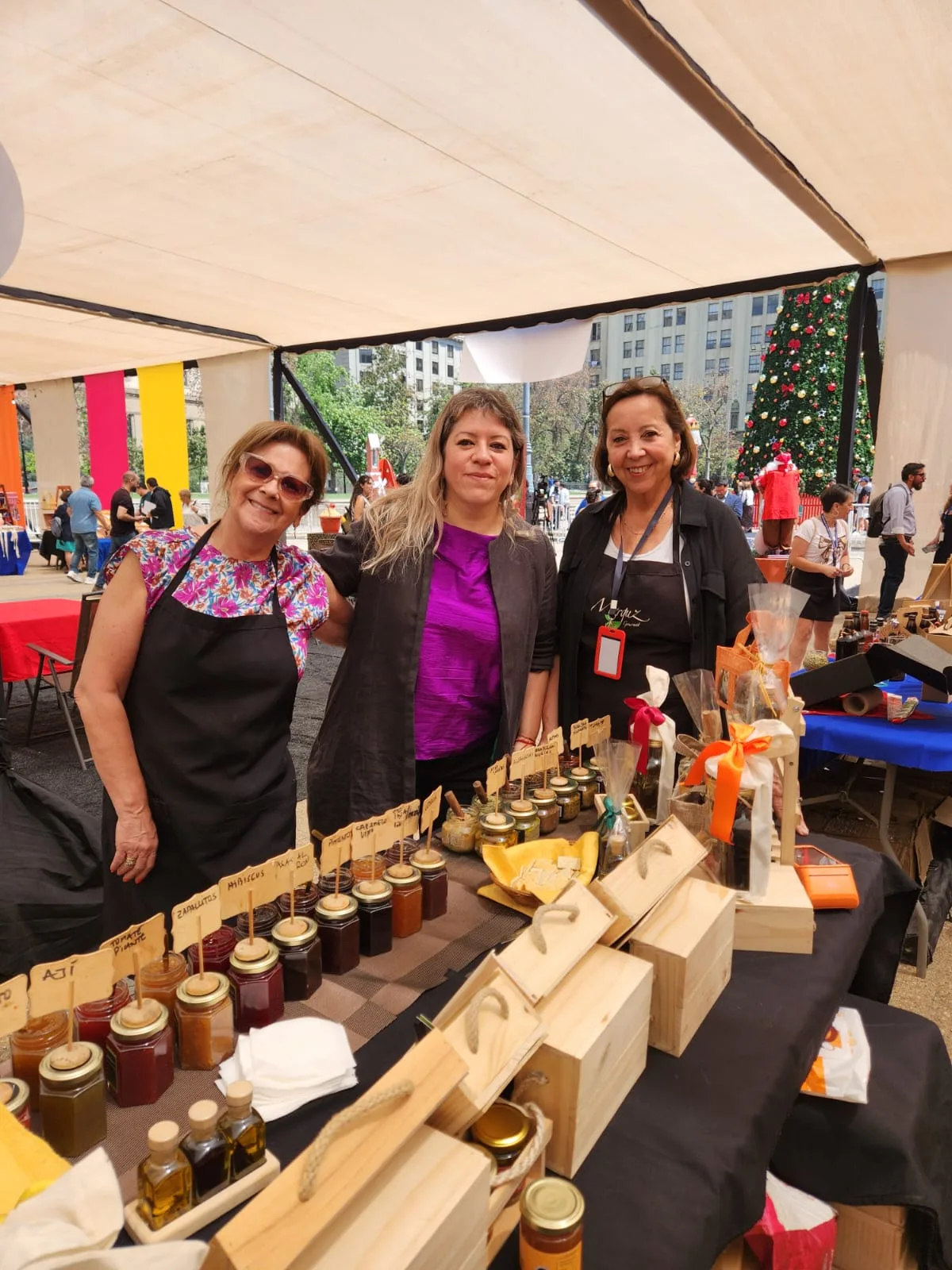 WhatsApp Image 2025 12 10 At 15.02.48