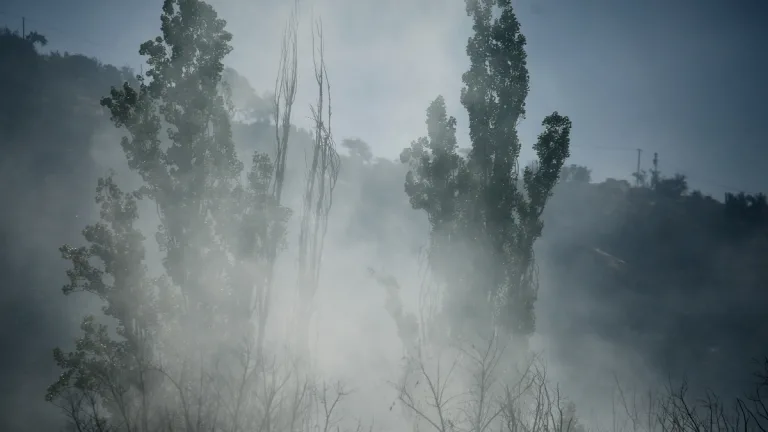 Incendios
