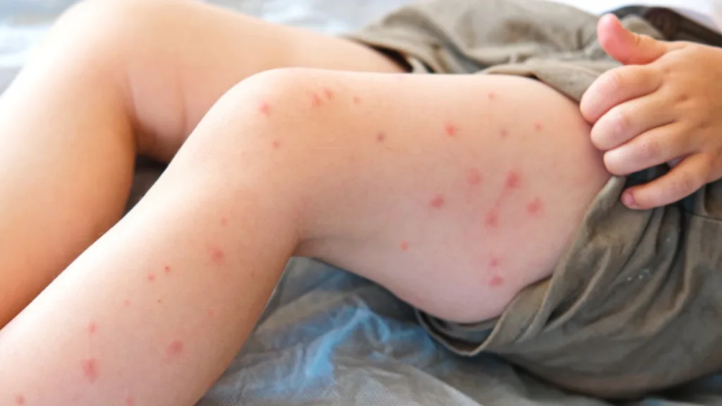 Portada Pudahuel (10)