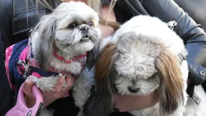 Portada Pudahuel (27)