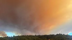 Incendios forestales en Penco