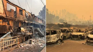 Incendios forestales en Biobío