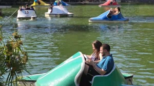 Panoramas verano 2026