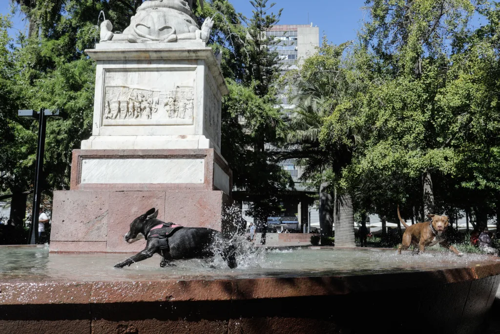 Alerta Meteorologica Por Altas Temperaturas