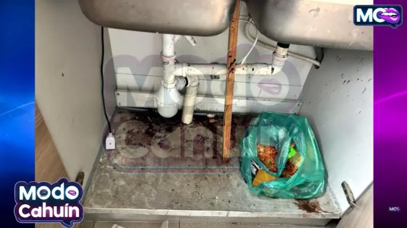 Captura De Pantalla 2026 02 19 163819.png