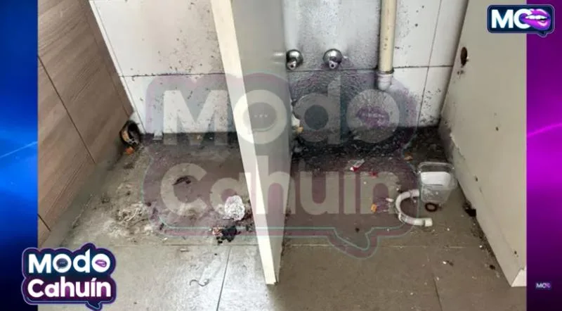 Captura De Pantalla 2026 02 19 163858.png