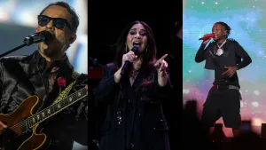 Festival De Coquimbo Artistas