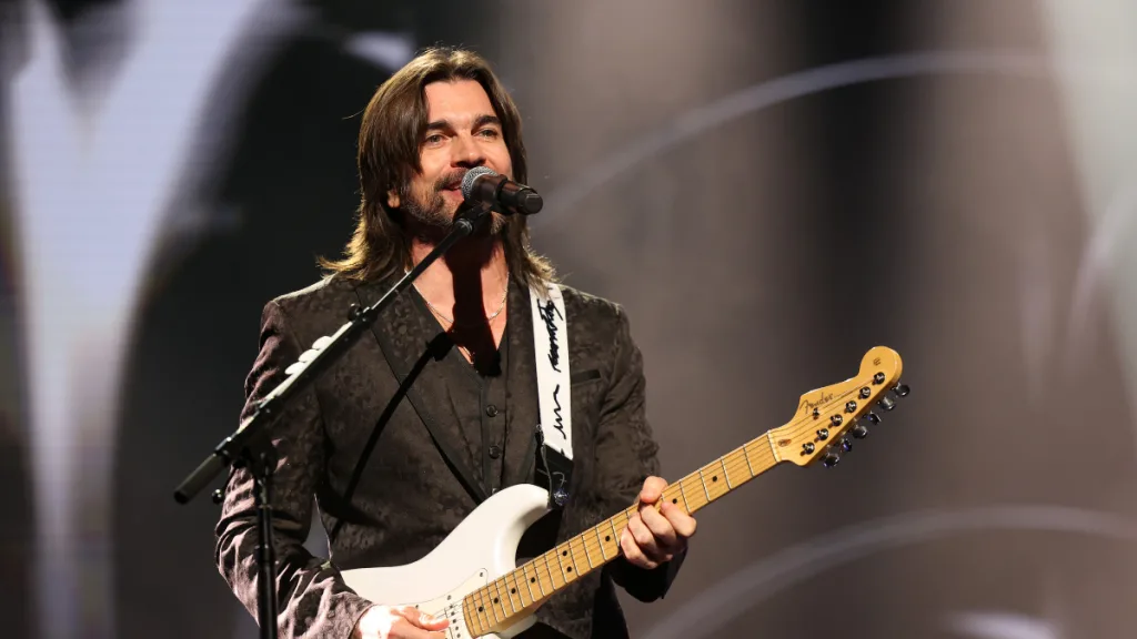 Festival De Viña (2)