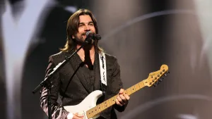 Festival De Viña (2)