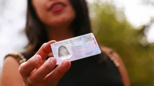 Licencia De Conducir