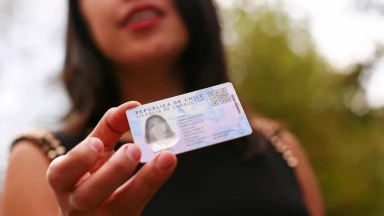 Licencia De Conducir