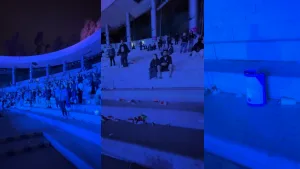 Festival de Viña 2026