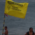 Fragata portuguesa El Quisco y Algarrobo